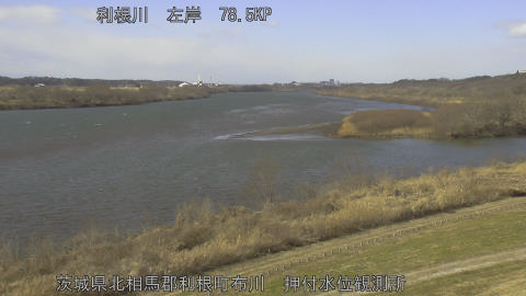 tonos2026012512_image