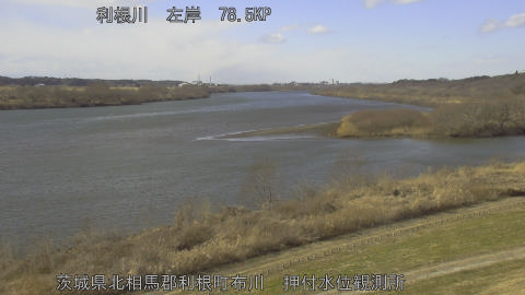 tonos2026012513_image