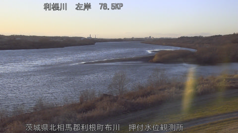 tonos2026012517_image