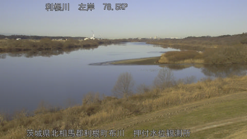 tonos2026012609_image