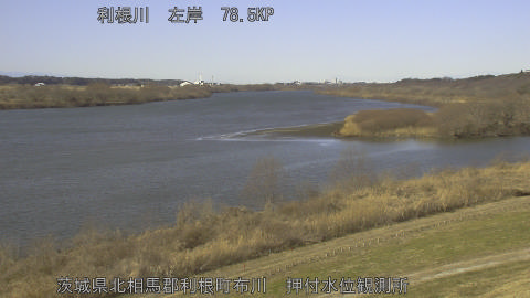 tonos2026012611_image