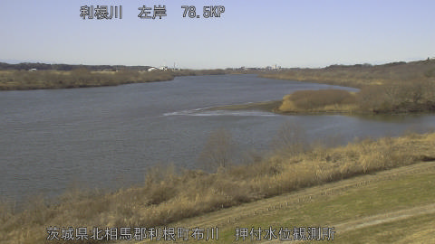 tonos2026012612_image