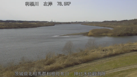 tonos2026012614_image