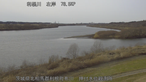 tonos2026012615_image