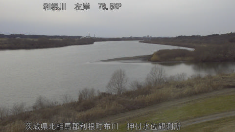 tonos2026012616_image