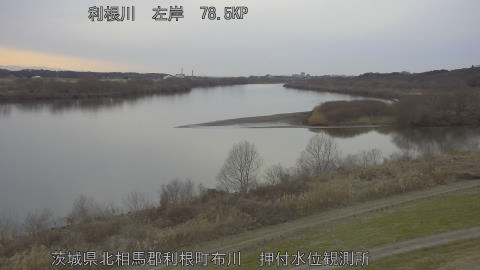 tonos2026012617_image