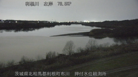 tonos2026012618_image