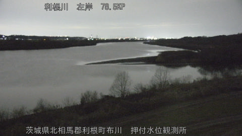 tonos2026012619_image