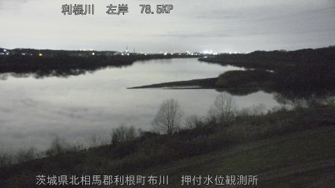 tonos2026012620_image