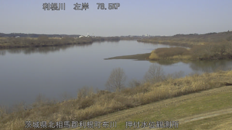 tonos2026012712_image