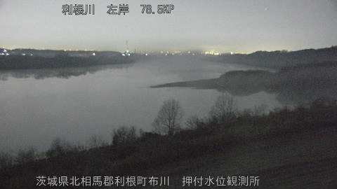 tonos2026012804_image