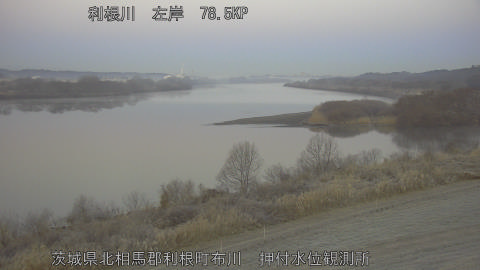 tonos2026012807_image