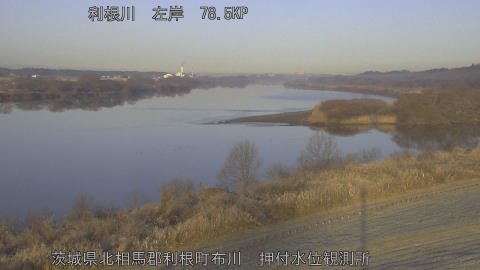 tonos2026012808_image