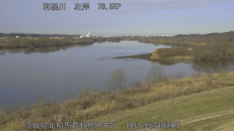 tonos2026012810_image