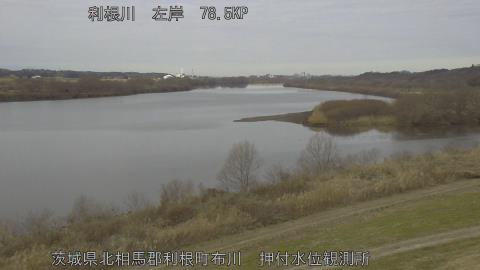 tonos2026012811_image