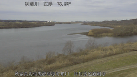 tonos2026012812_image