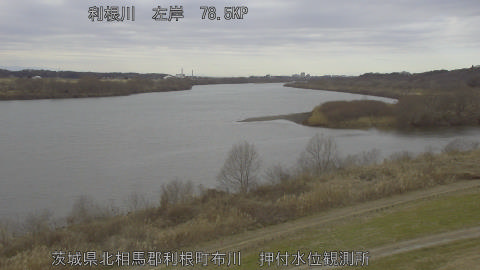 tonos2026012814_image