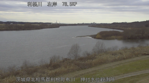 tonos2026012815_image