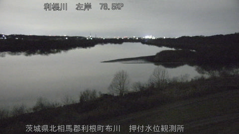 tonos2026012823_image