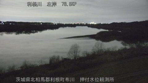 tonos2026012901_image