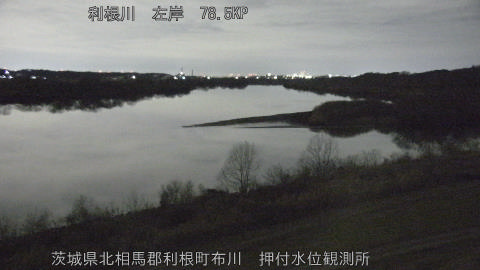 tonos2026012903_image