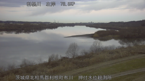 tonos2026012907_image