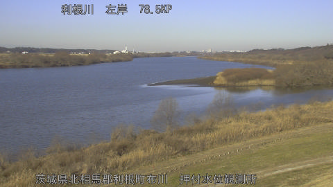 tonos2026012909_image