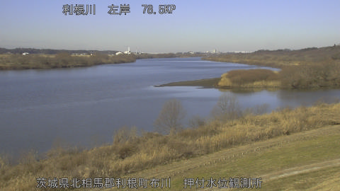 tonos2026012910_image