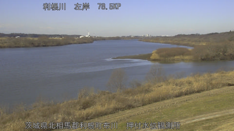 tonos2026012911_image