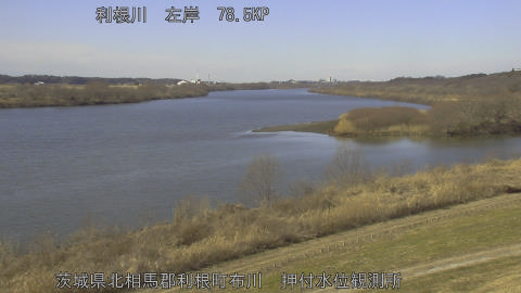 tonos2026012912_image