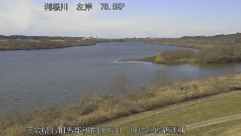 tonos2026012913_image