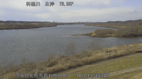 tonos2026012914_image