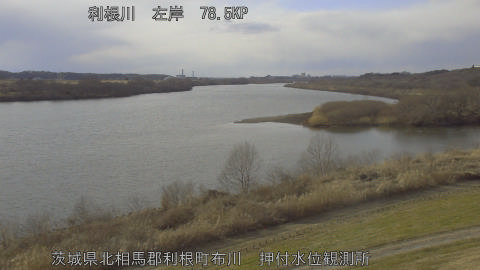 tonos2026012915_image