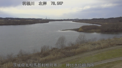 tonos2026012916_image