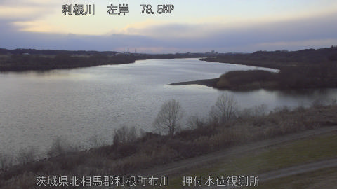 tonos2026012917_image