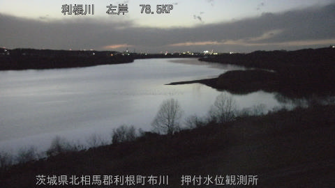 tonos2026012918_image