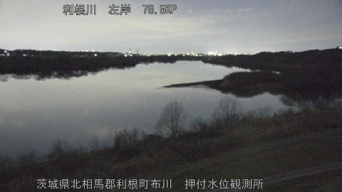 tonos2026012919_image