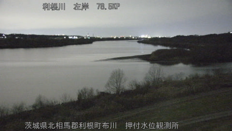 tonos2026012921_image