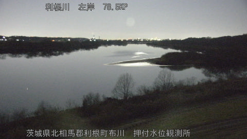 tonos2026013003_image