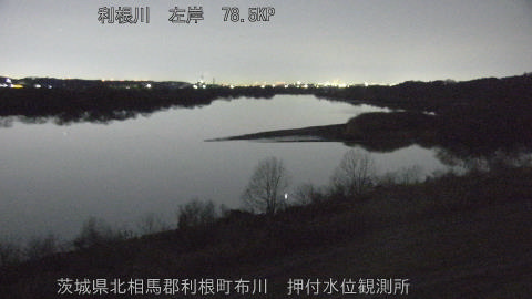 tonos2026013005_image