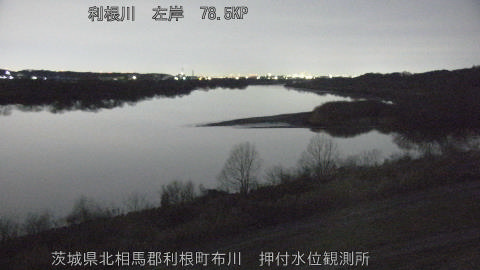 tonos2026013006_image