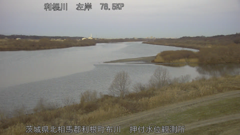 tonos2026013007_image