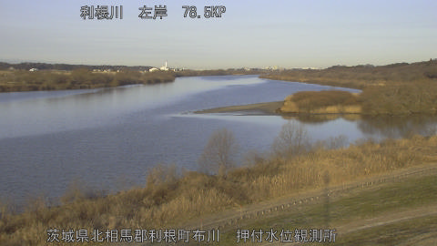 tonos2026013008_image