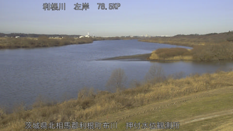 tonos2026013009_image