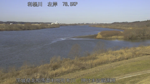 tonos2026013010_image