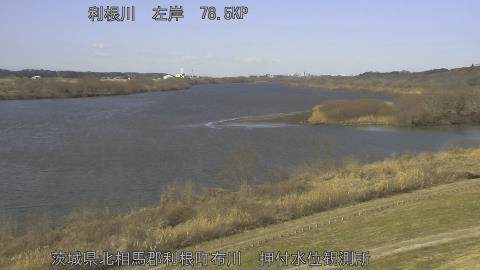 tonos2026013011_image