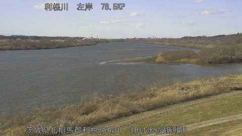 tonos2026013013_image