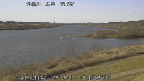 tonos2026013014_image