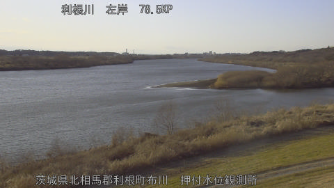 tonos2026013016_image