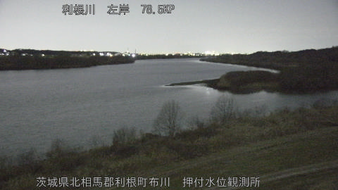 tonos2026013019_image